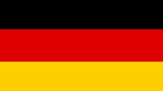 The german flag