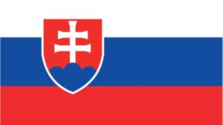 The slovakian flag