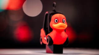 Schnabelstapler Portrait