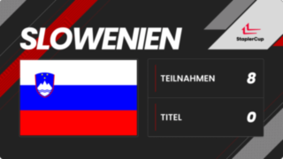 Driver Card Slowenien
